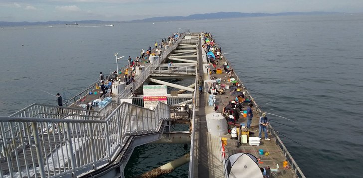 加太大波止 大川漁港 とっとパーク小島 釣り場偵察 和歌山こてつの車中泊 釣り情報