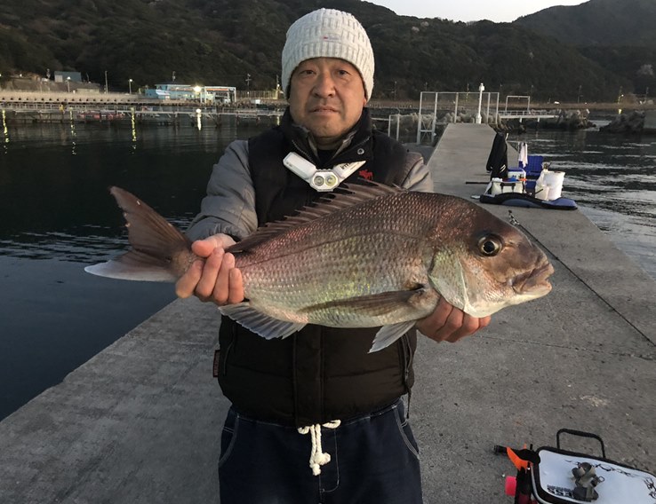 和歌山近辺 小島漁港 車中泊ができ 車の近くで 大型マダイ 和歌山こてつの車中泊 釣り情報